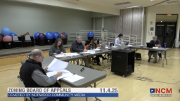 Zoning Board of Appeals videos